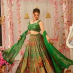 BEAUTIFUL LEHENGA SET